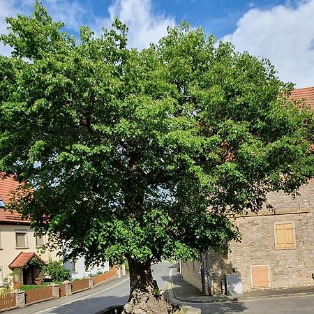 Ferienwohnung Zur Linde Деттельбах Екстер'єр фото